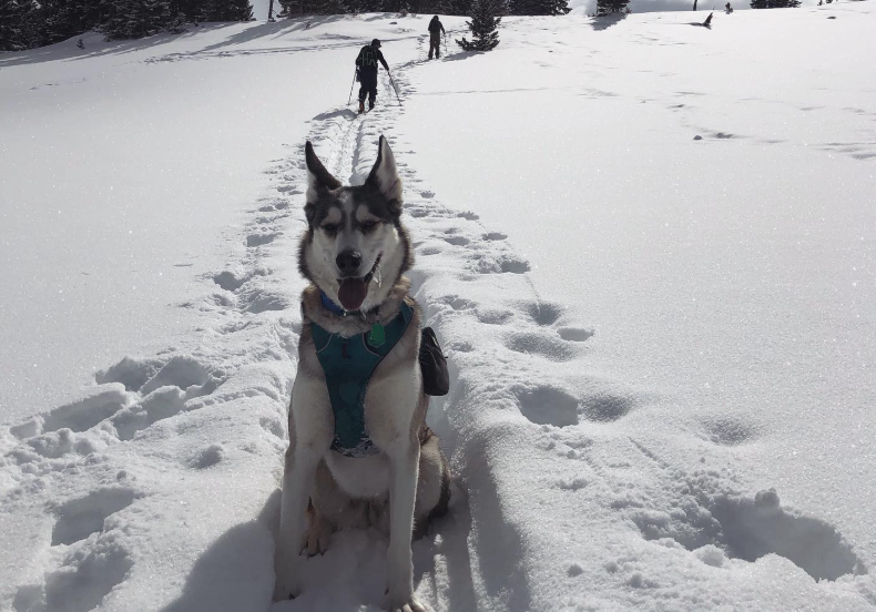 photo of Kira